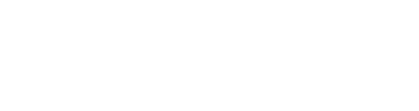 FLEX Logo